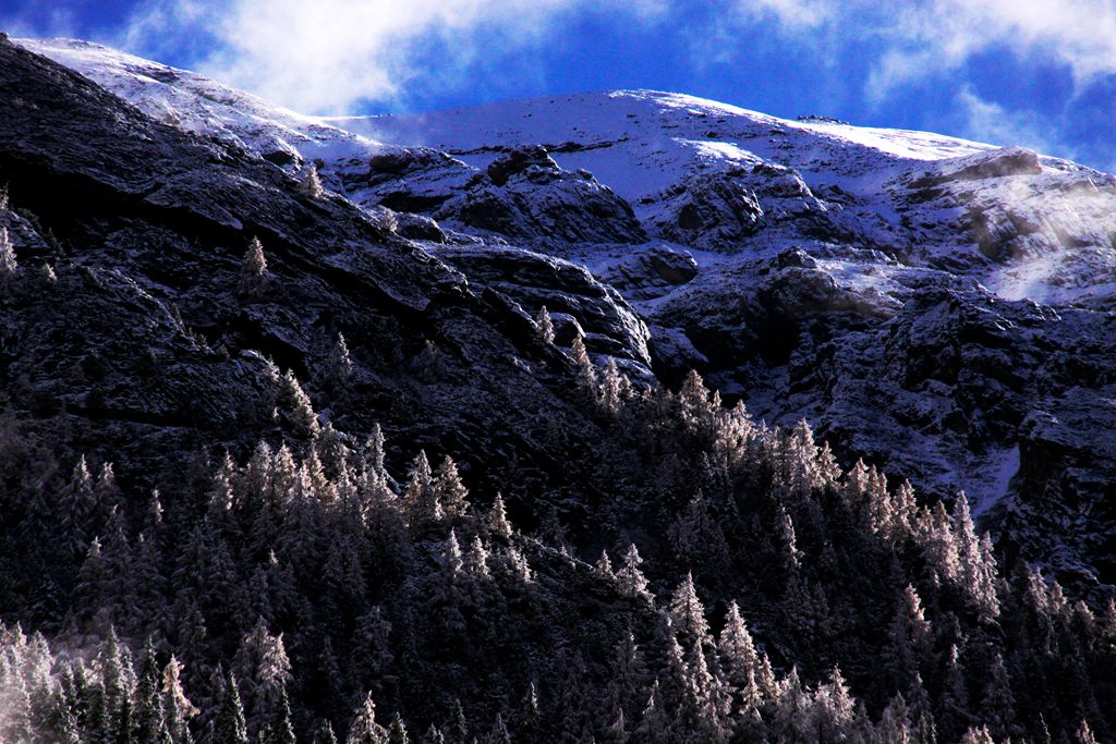 _MG_7521.jpg