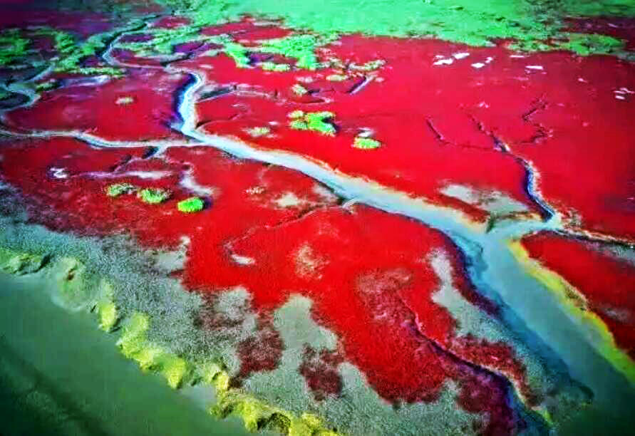 QQ截图20200829132717.jpg QQ截图20200829132717.jpg