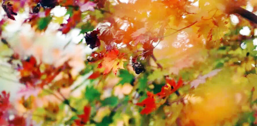 QQ截图20200829132726.jpg QQ截图20200829132726.jpg