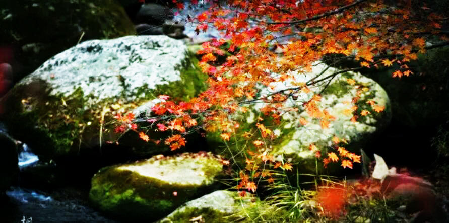 QQ截图20200829132835.jpg QQ截图20200829132835.jpg