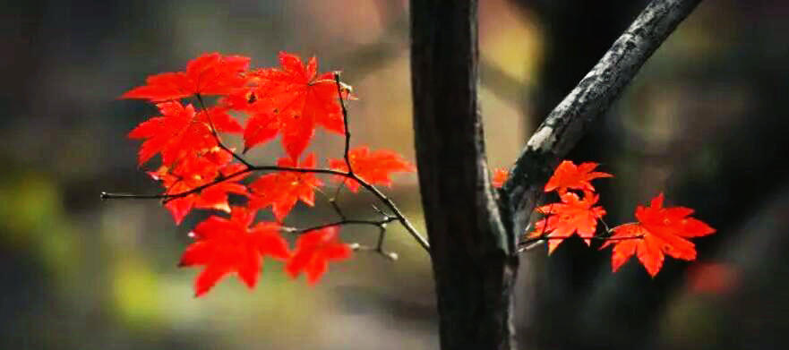 QQ截图20200829132904.jpg QQ截图20200829132904.jpg