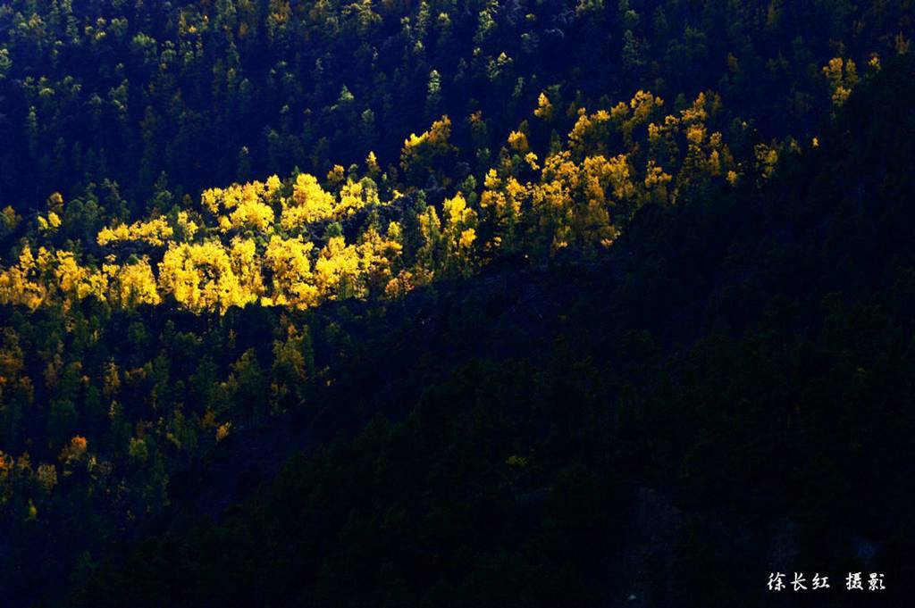 _DSC8518.jpg _DSC8518.jpg