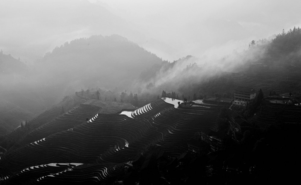 _DSC1211副本.jpg