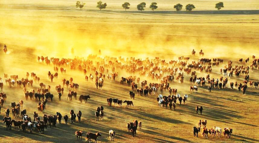 QQ截图20200930152040.jpg