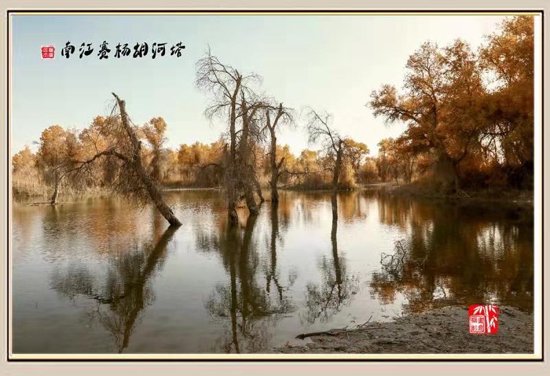 mmexport1543459378698.jpg mmexport1543459378698.jpg