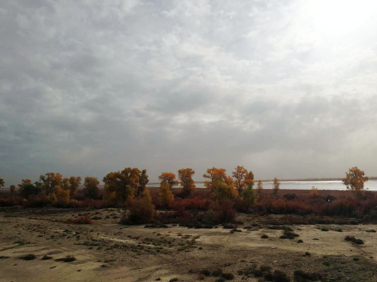 mmexport1541669607874.jpg