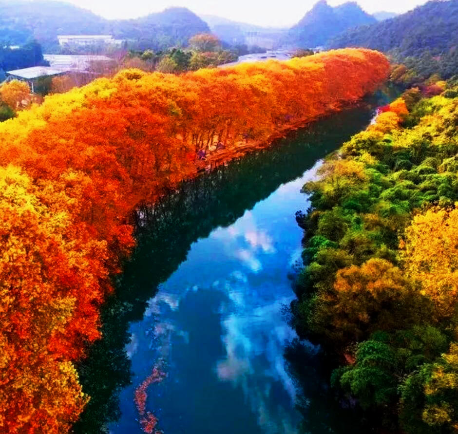 QQ截图20201106155650.jpg