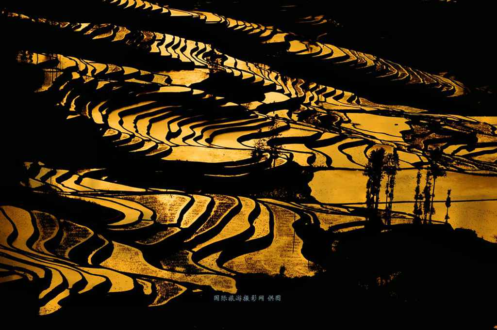_DSC4506_副本.jpg _DSC4506_副本.jpg