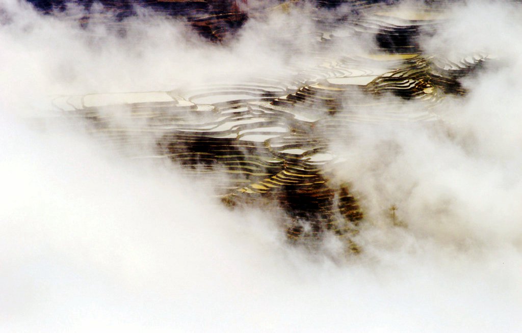 _DSC5274.jpg