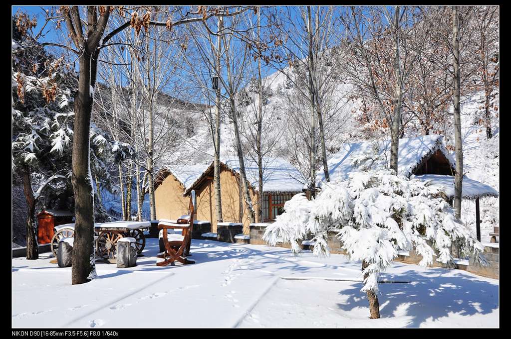 DSC_0004.jpg DSC_0004.jpg