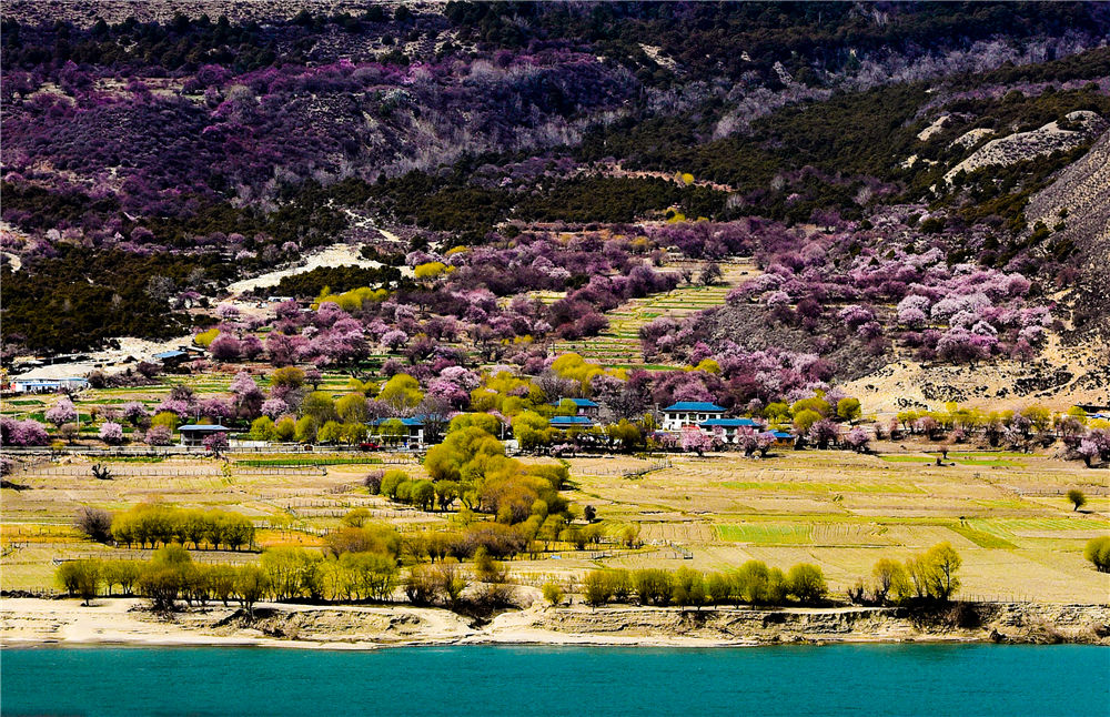 39_å‰ˉæœ¬.jpg