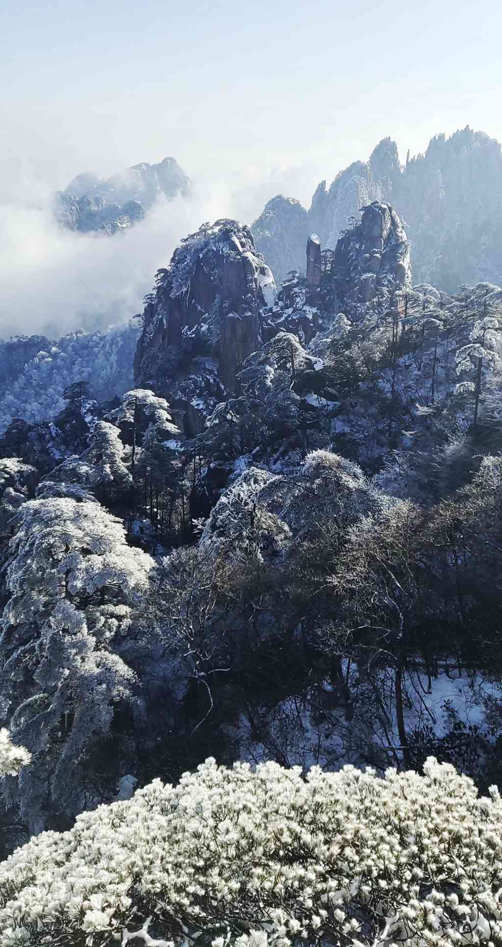 冬雪黄山奇观 - 绝美图库 - 华声论坛