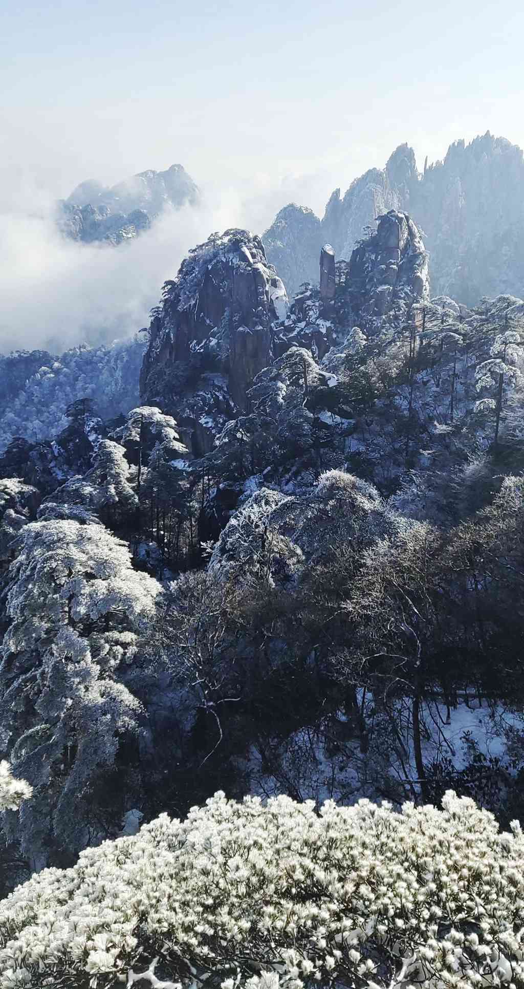 郑州的雪开始下大了 本周末还有大雪过程-大河新闻