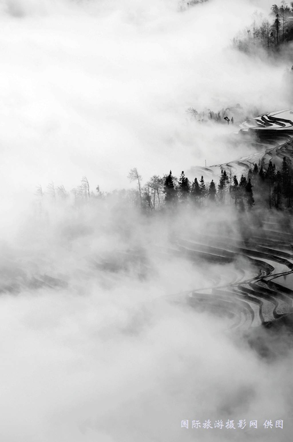 _DSC5185_副本.jpg