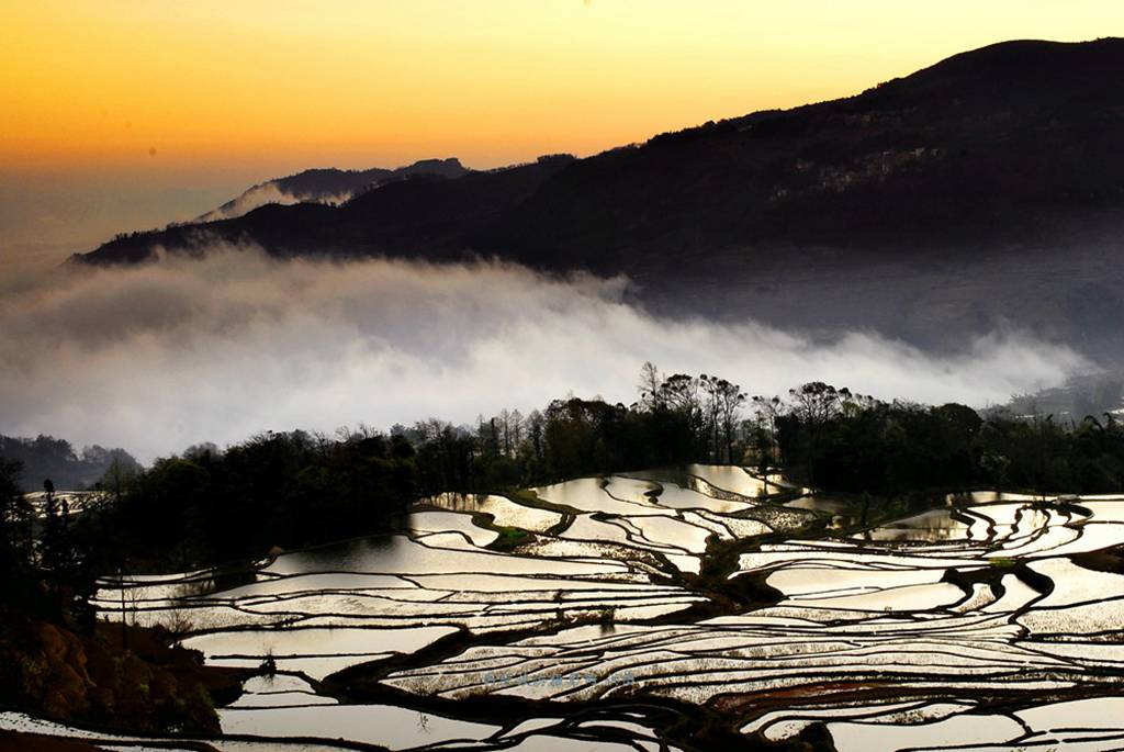 _DSC4491_副本.jpg _DSC4491_副本.jpg