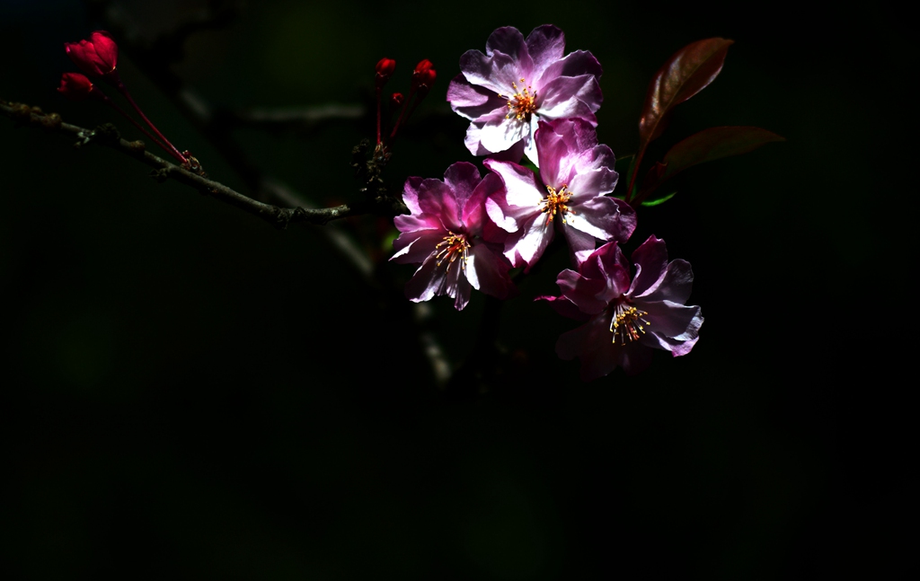 DSC_2893.jpg DSC_2893.jpg