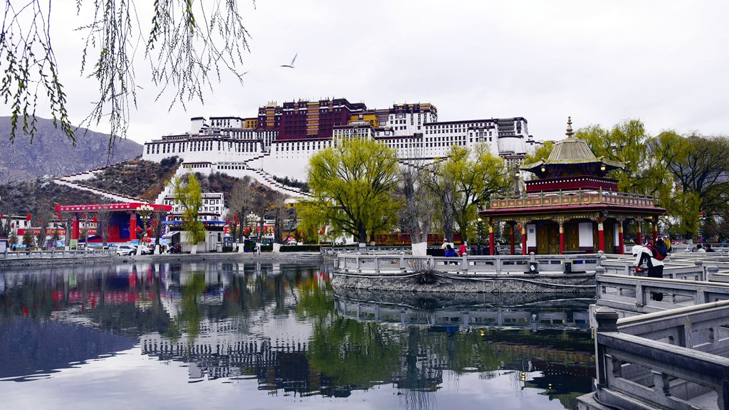 _DSC8932_副本.jpg