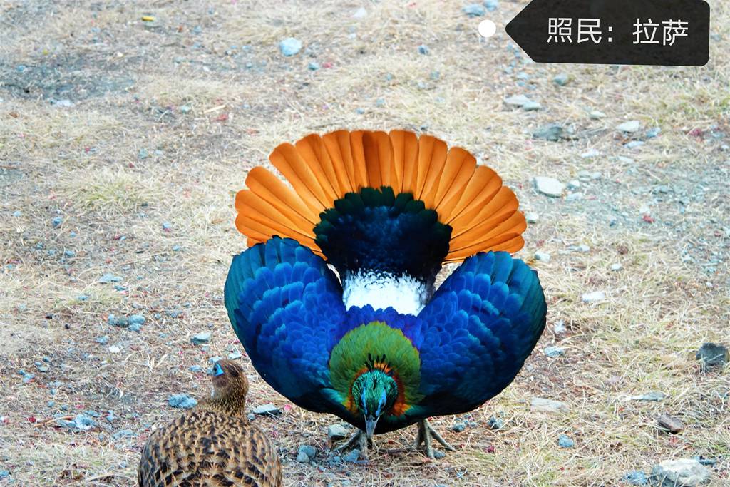 微信图片_20210205183521.jpg