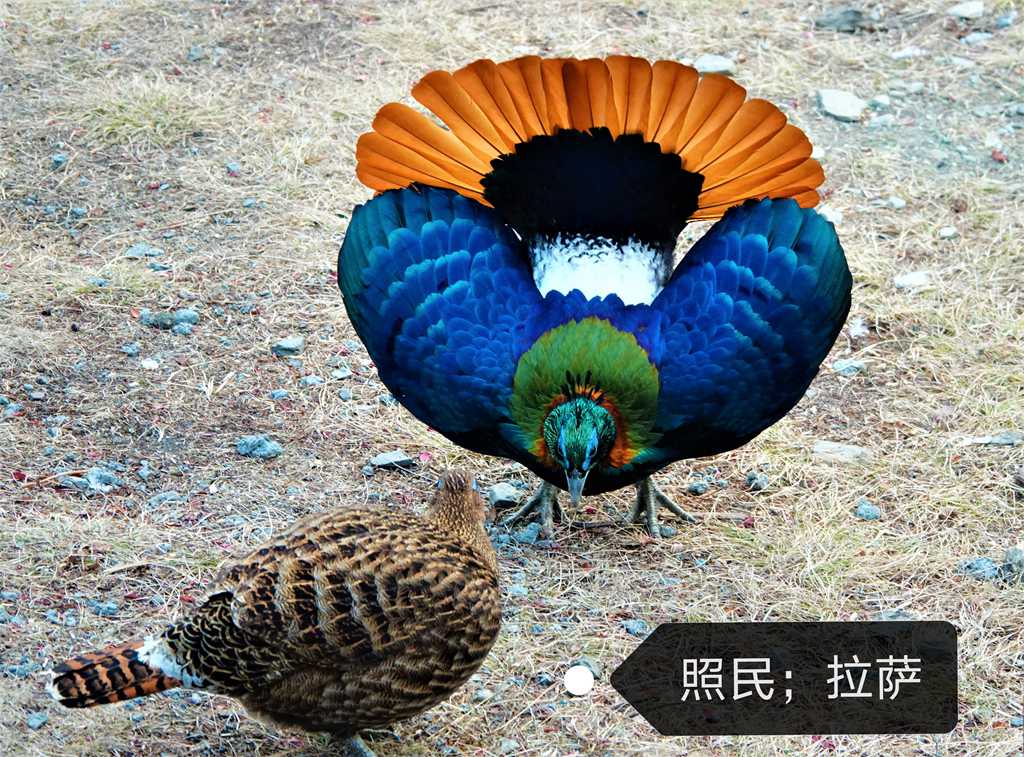 微信图片_20210205183523.jpg