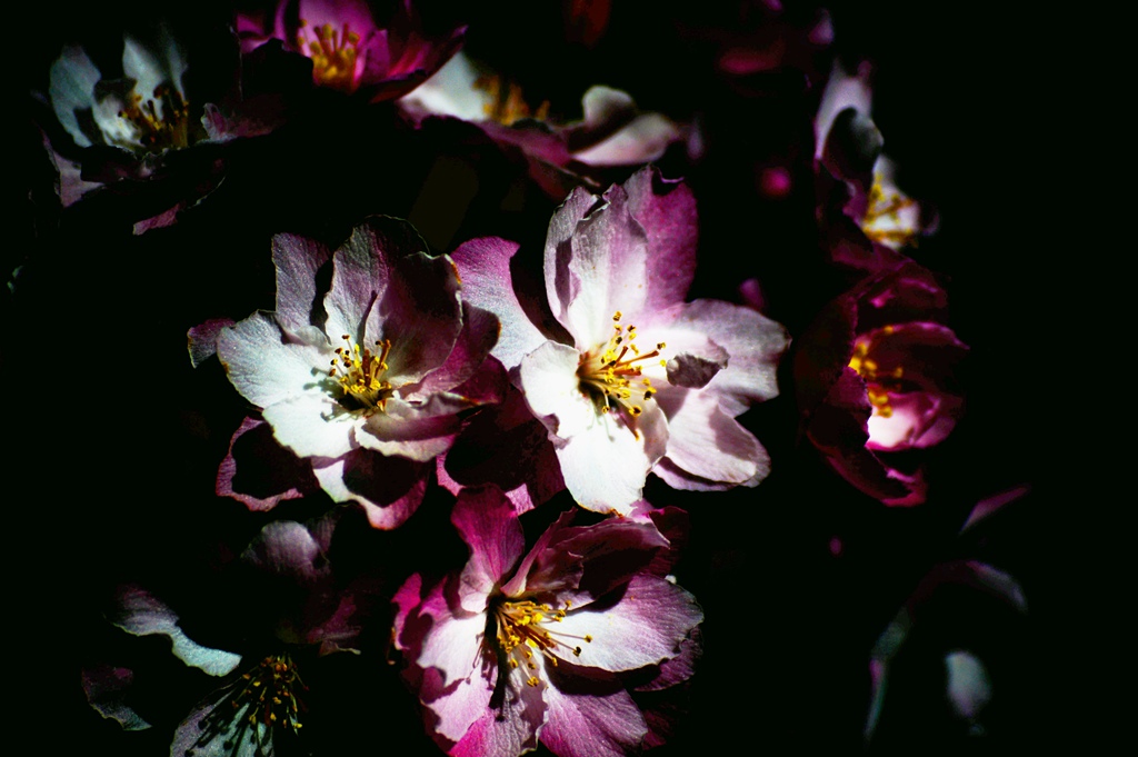 DSC_2876.jpg