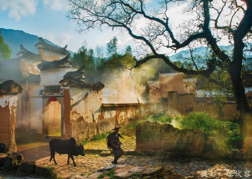 QQ截图20210319161236.jpg