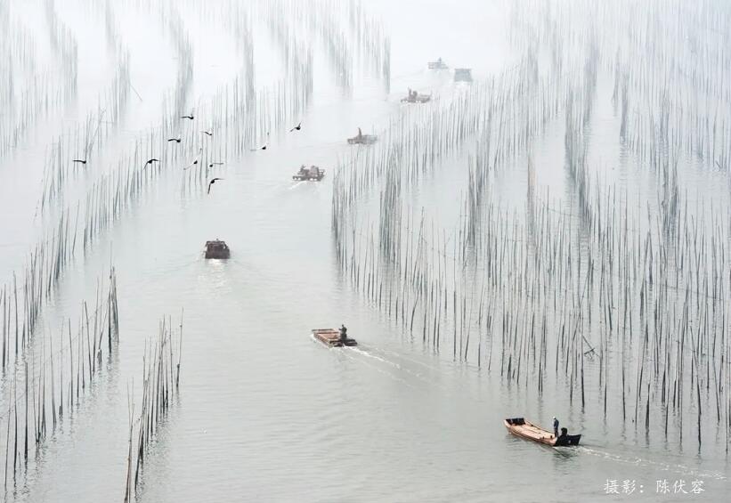 QQ截图20210319160844.jpg