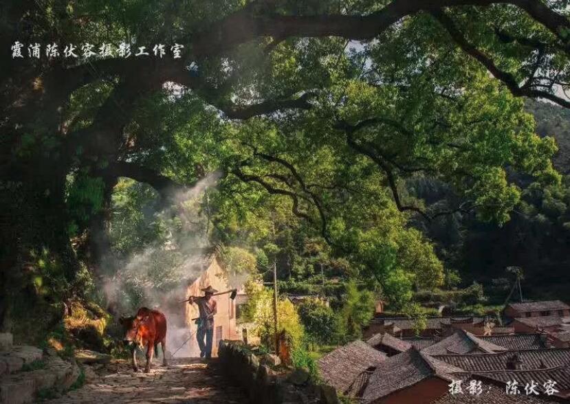 QQ截图20210319161226.jpg