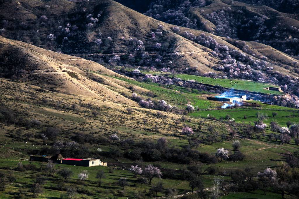DPP_000120.jpg DPP_000120.jpg