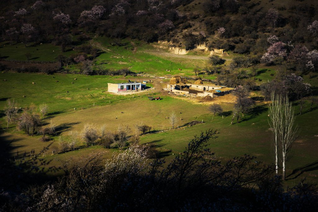 DPP_000112.jpg