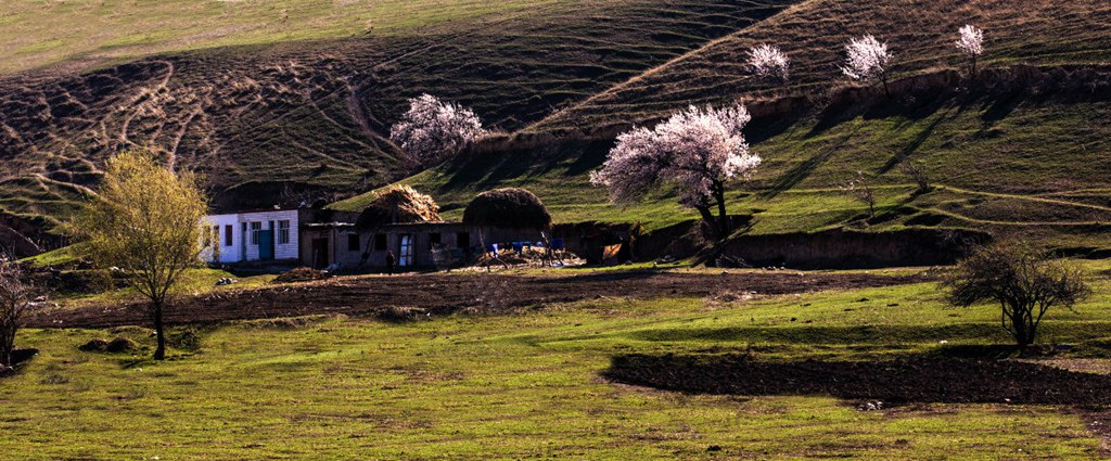 DPP_000118.jpg