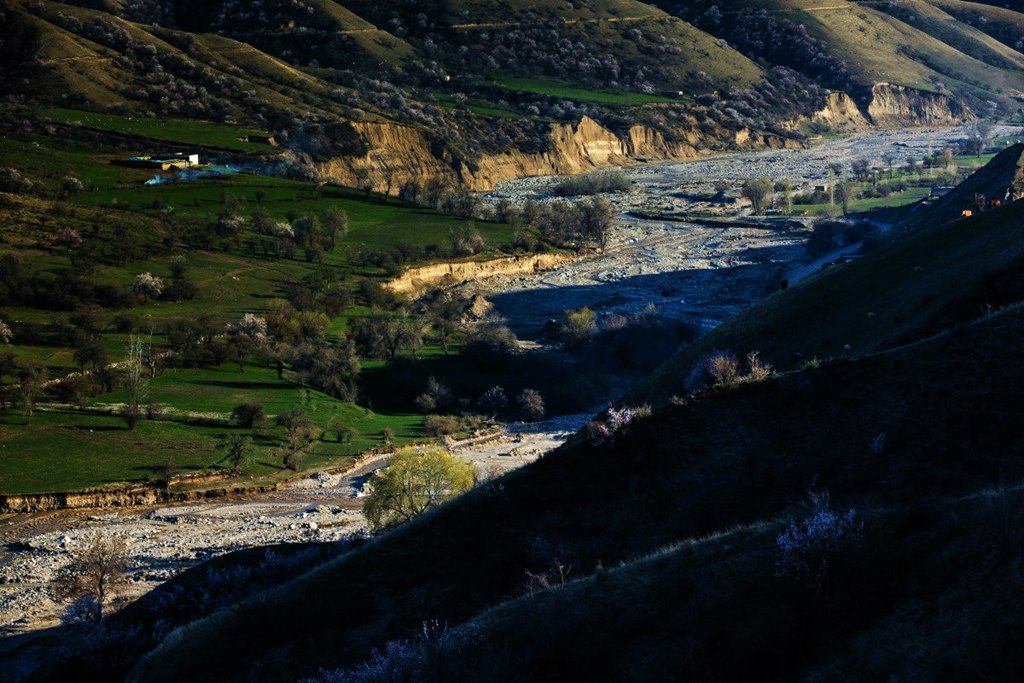 DPP_000111.jpg