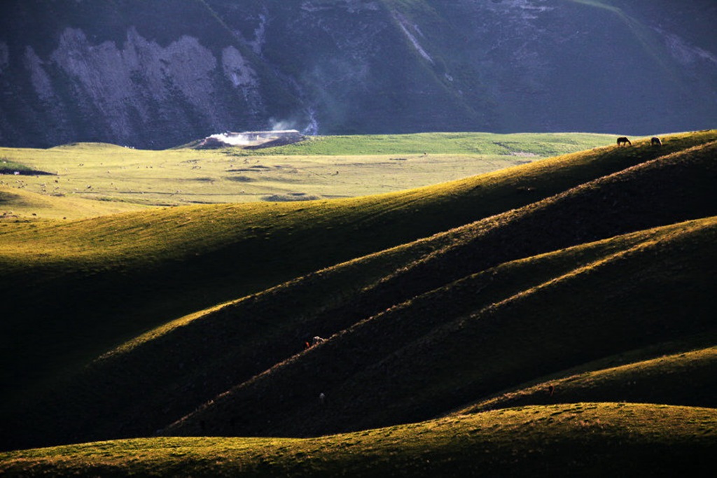 DPP_0010.jpg