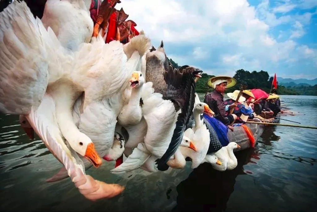 QQ截图20210517192522.jpg