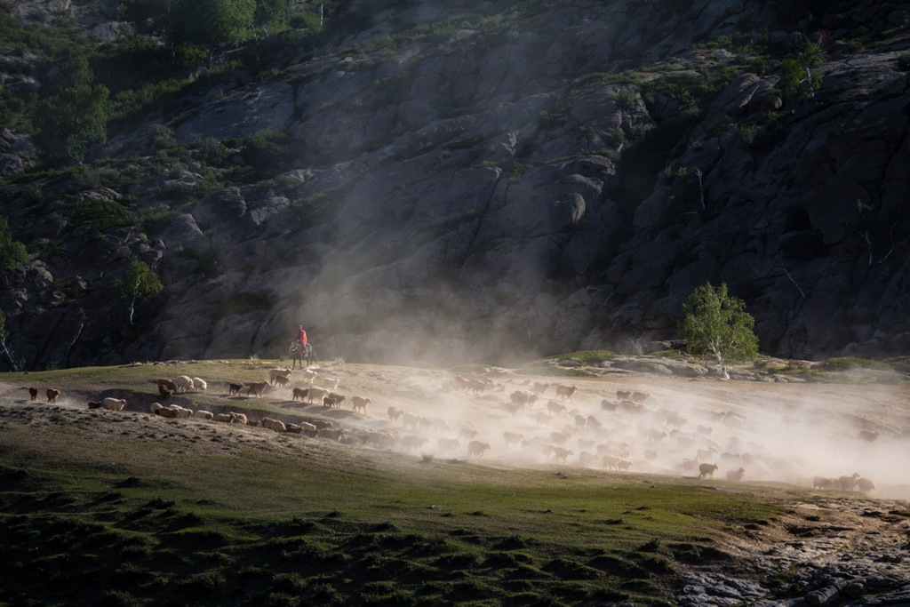 DPP_0066.jpg