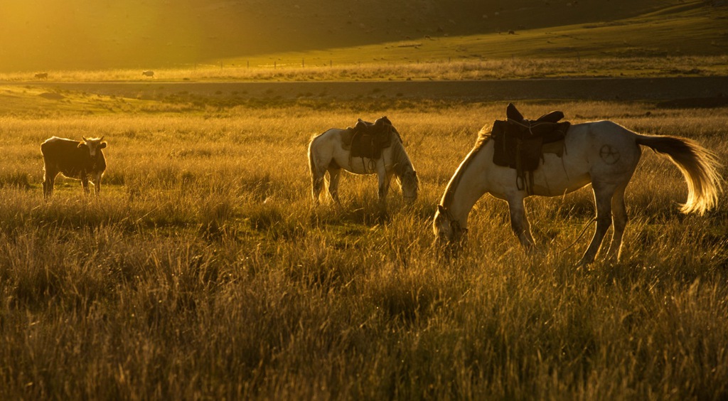 DPP_0079.jpg