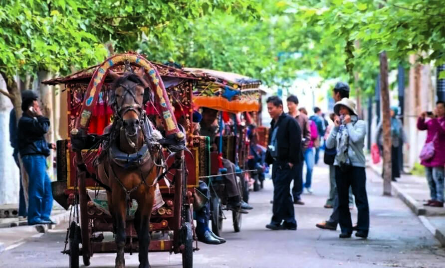 QQ截图20210521155244.jpg