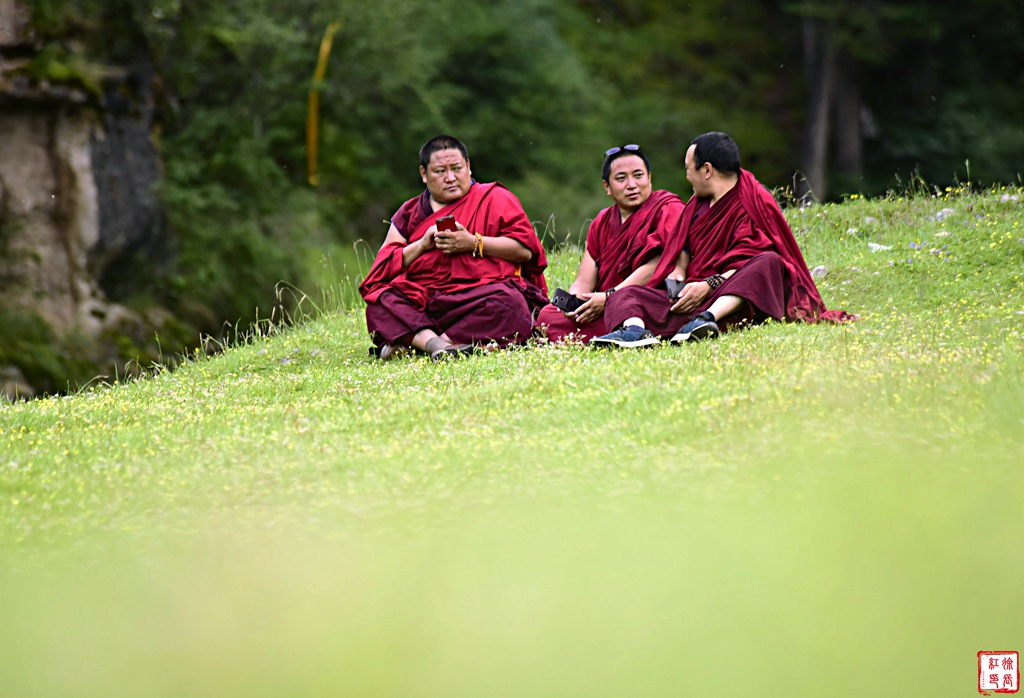 _DSC8334_副本.jpg