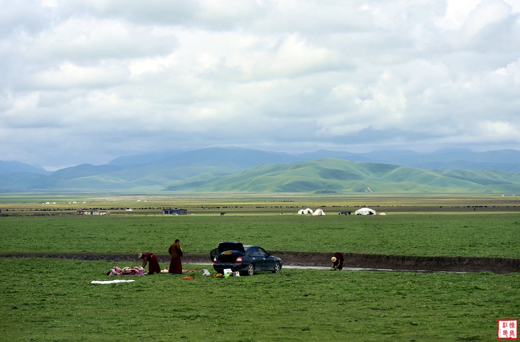 _DSC0571_副本.jpg _DSC0571_副本.jpg