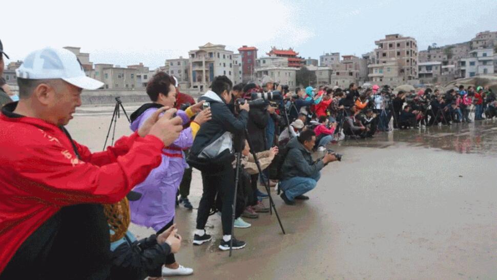 QQ截图20210704163222.jpg