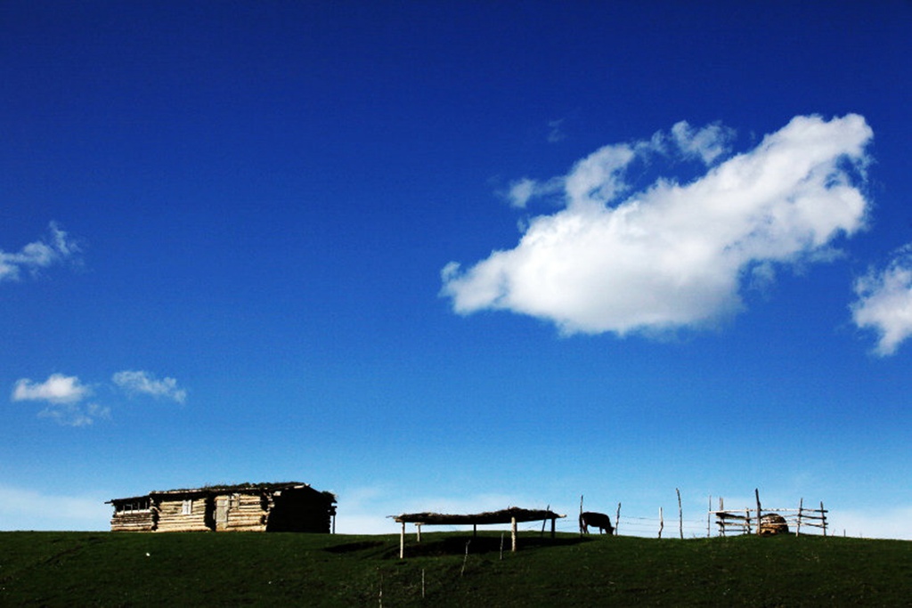 DPP_0006.jpg