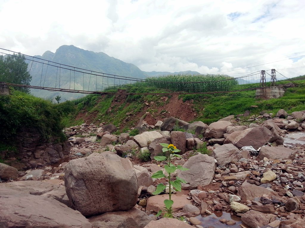 20140722_114104.jpg