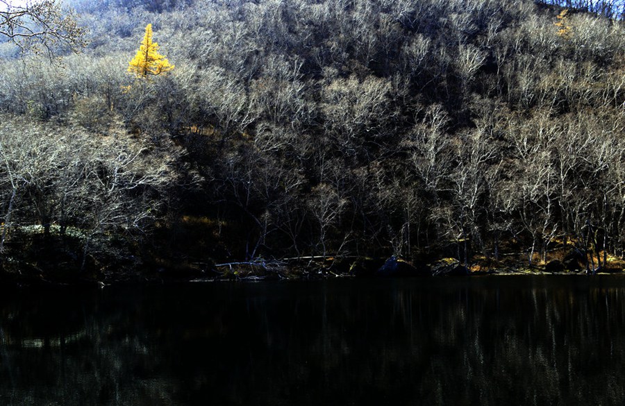 _DSC6421.jpg _DSC6421.jpg