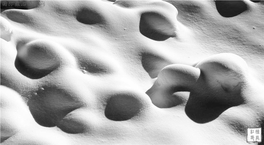 _DSC2405.jpg