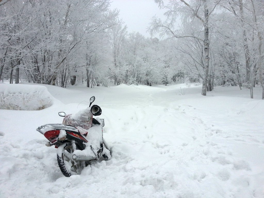 20160103_123400.jpg 20160103_123400.jpg