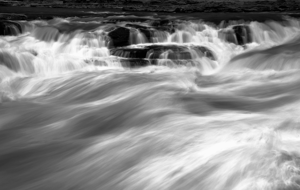 _DSC2456_副本.jpg