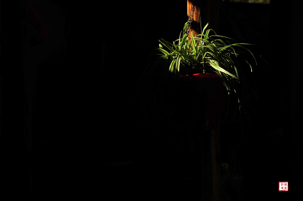 _DSC6024_副本.jpg