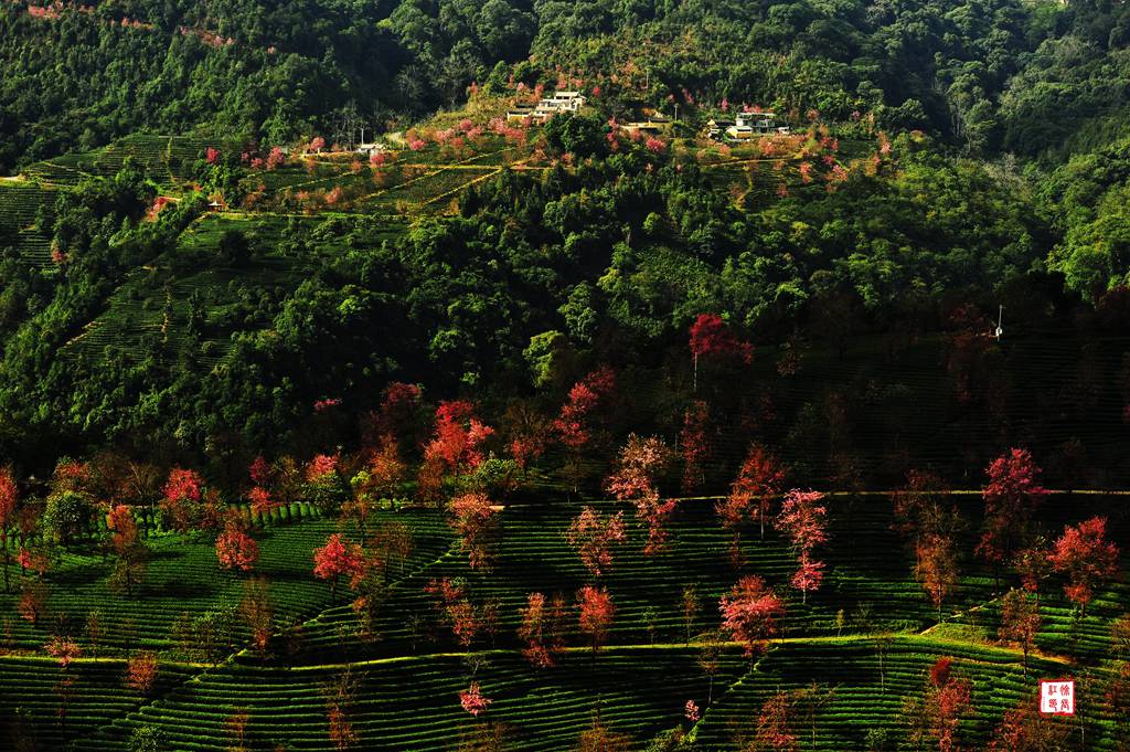 _DSC6364_副本.jpg