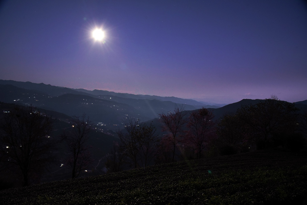 _DSC9042_副本.jpg _DSC9042_副本.jpg