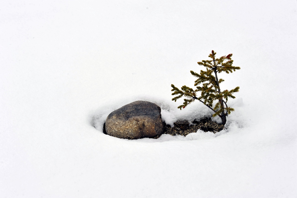 _DSC6761_副本.jpg _DSC6761_副本.jpg