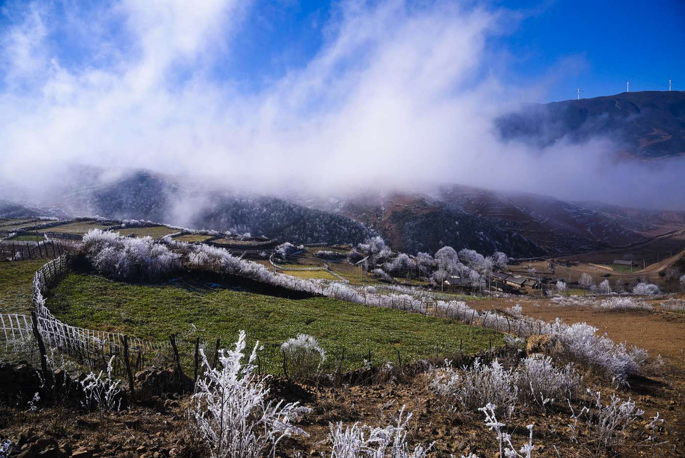 走进凉山寻彝情，踏遍攀西览美景-西昌旅游攻略-游记-去哪儿攻略